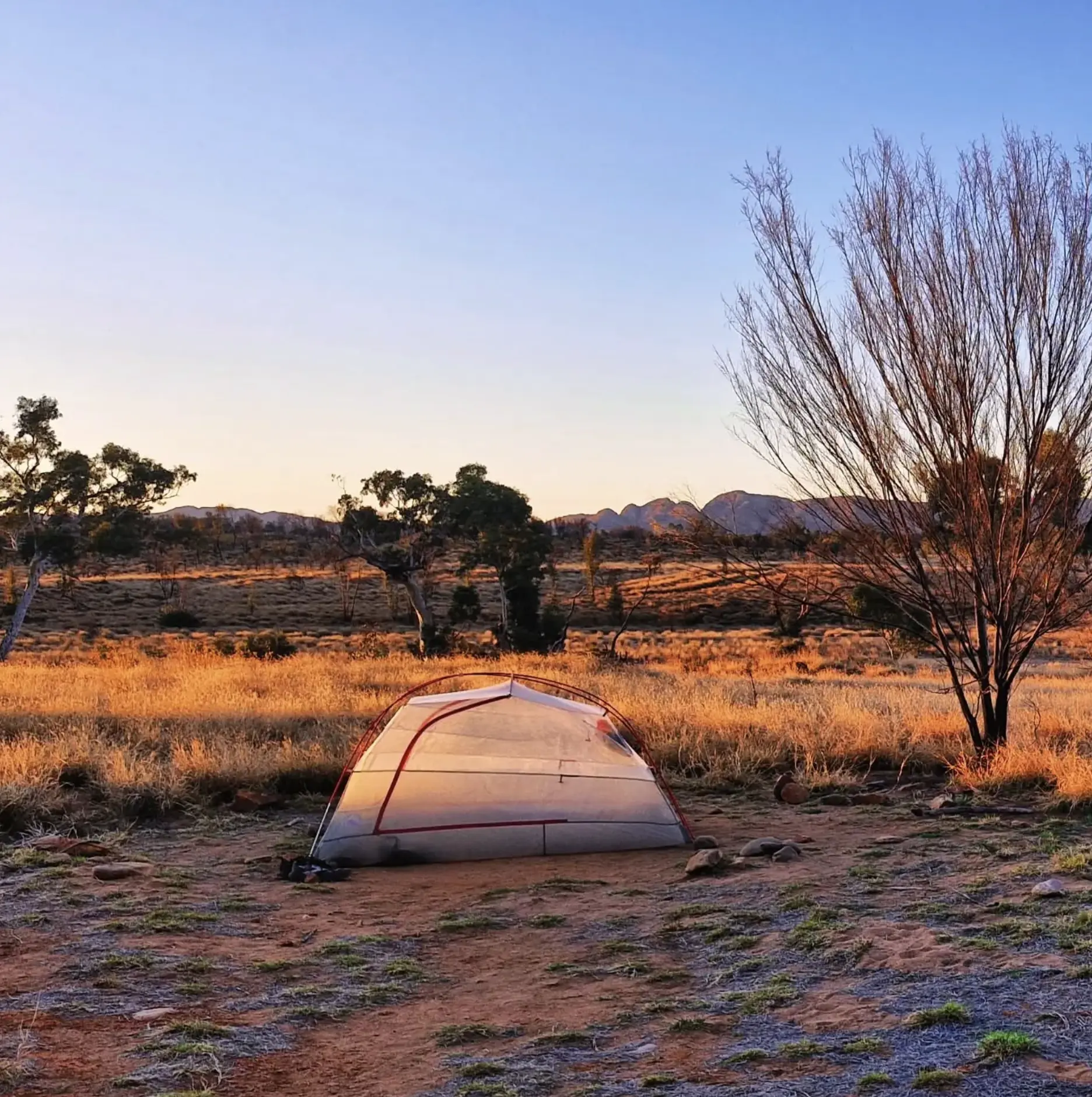 Larapinta Trail