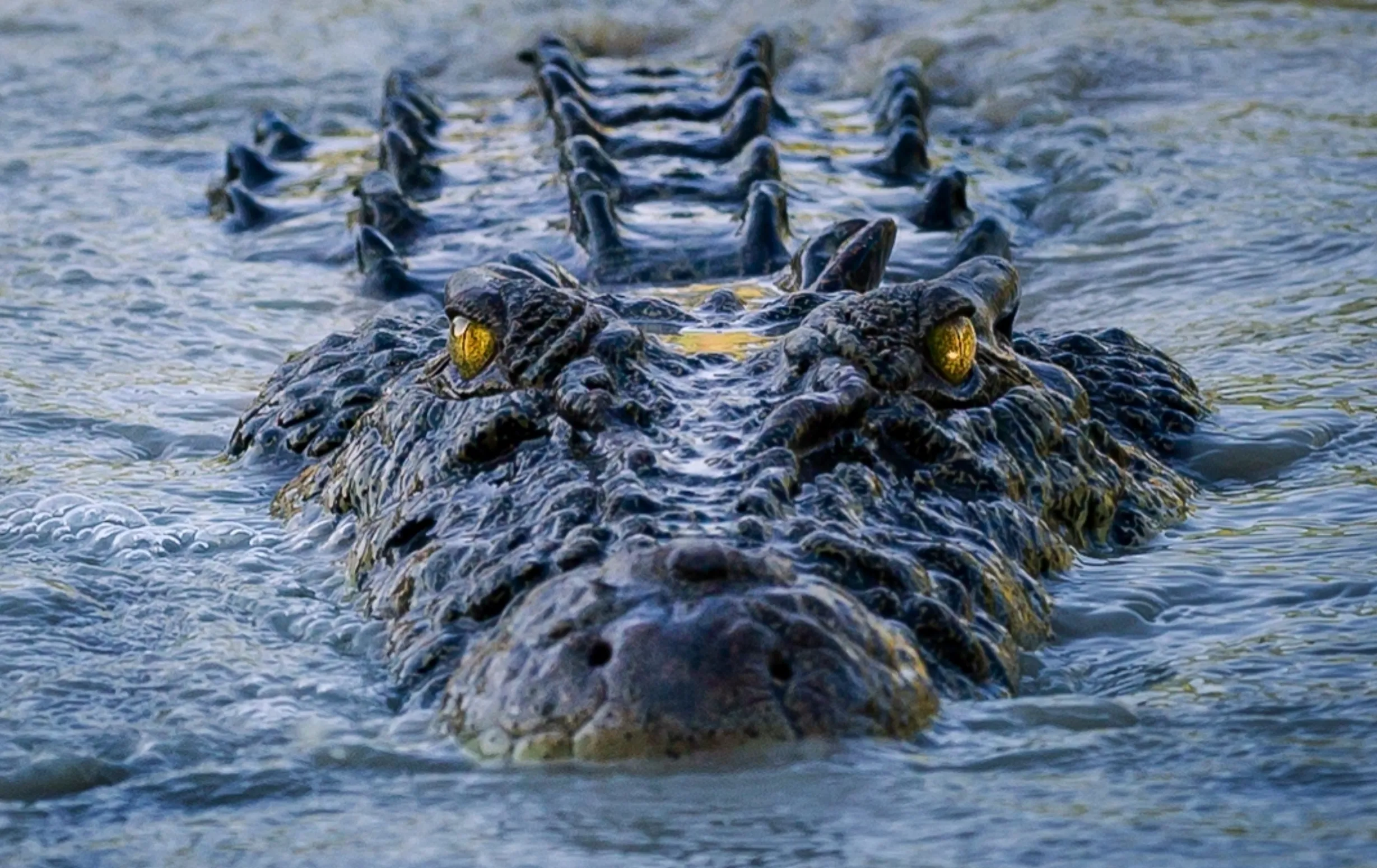 Kayaking Adventures on the East Alligator River, Kakadu